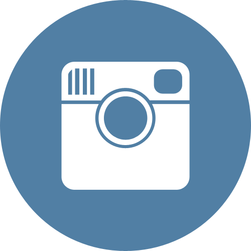  Icône Instagram